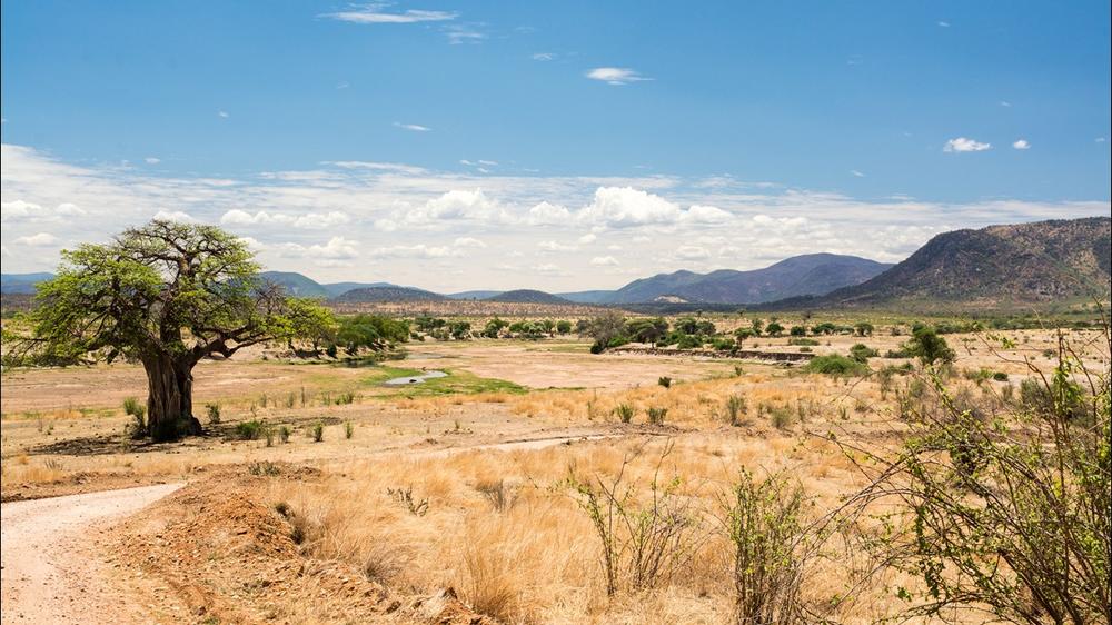 Ruaha National Park