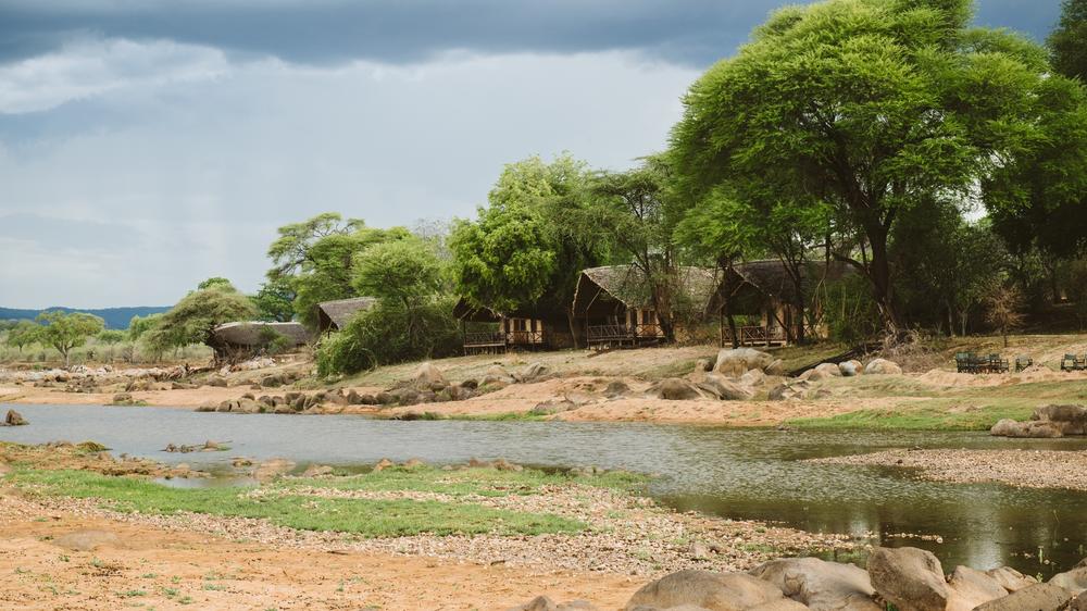 Ruaha River Lodge