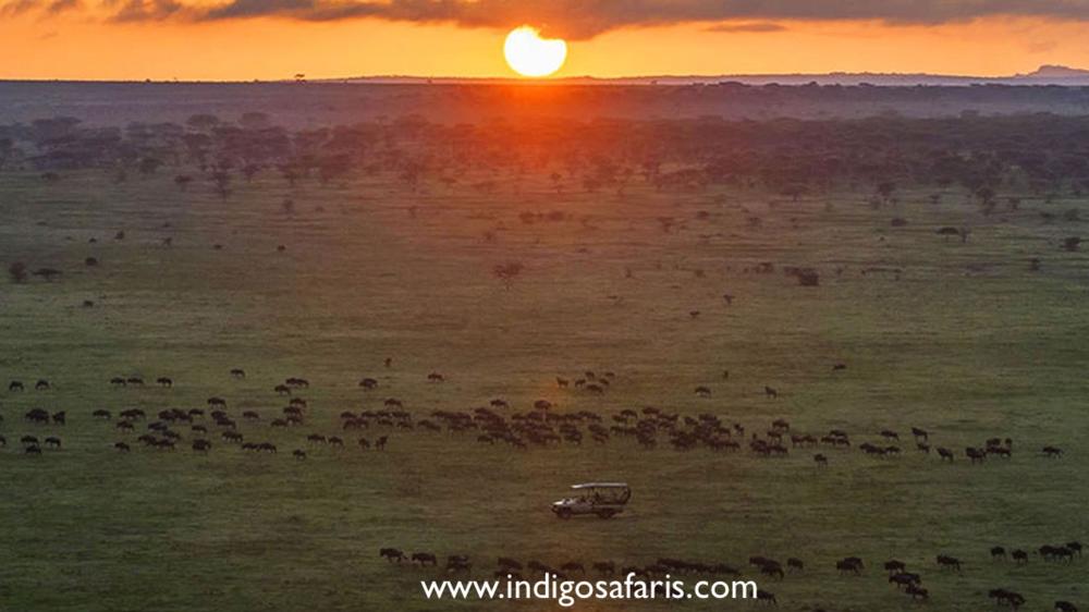 Southern Serengeti
