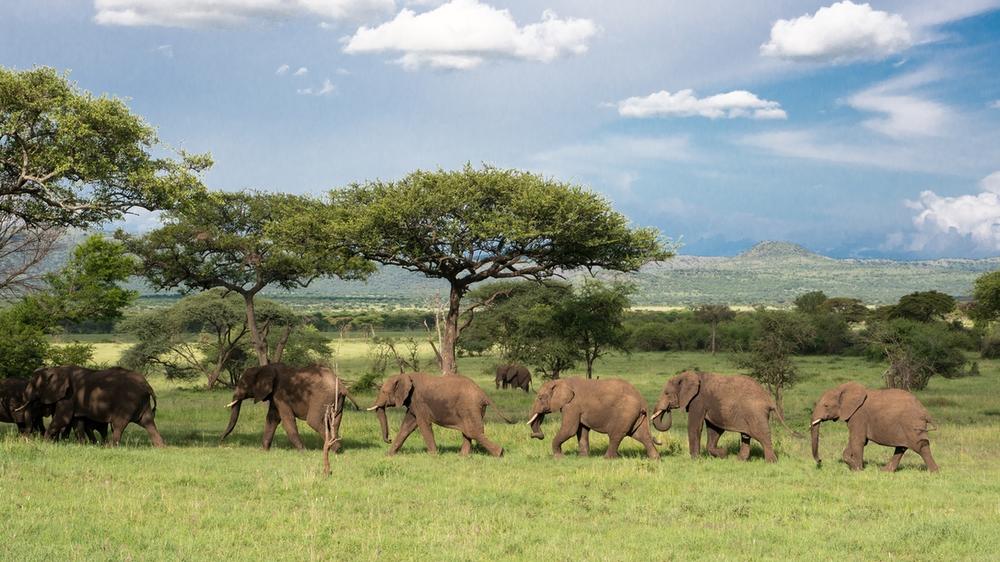 Serengeti National Park