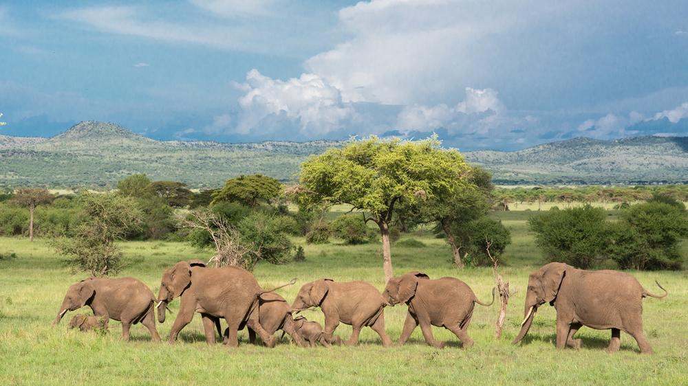 Northern Serengeti