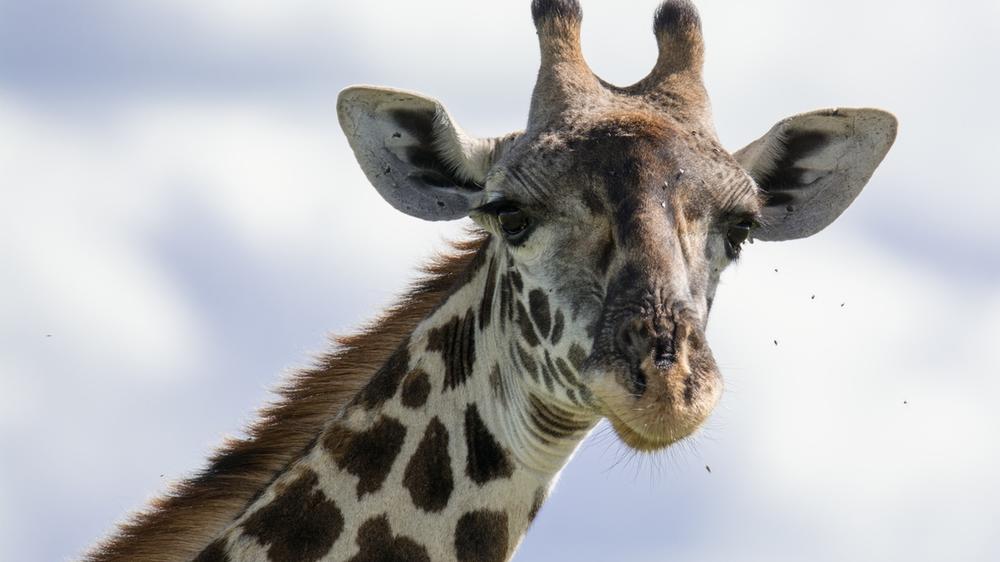 Serengeti National Park