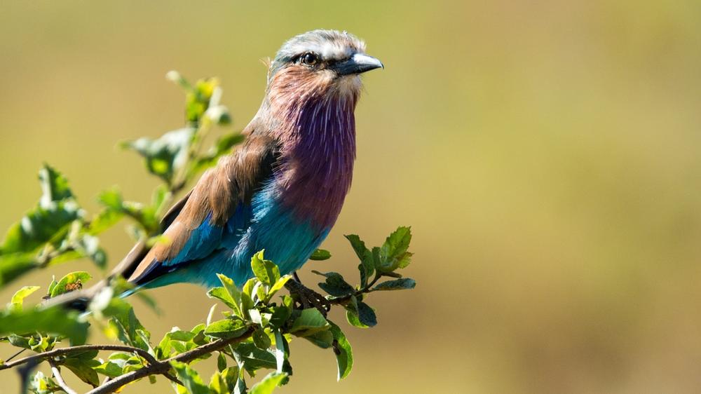 Serengeti National Park