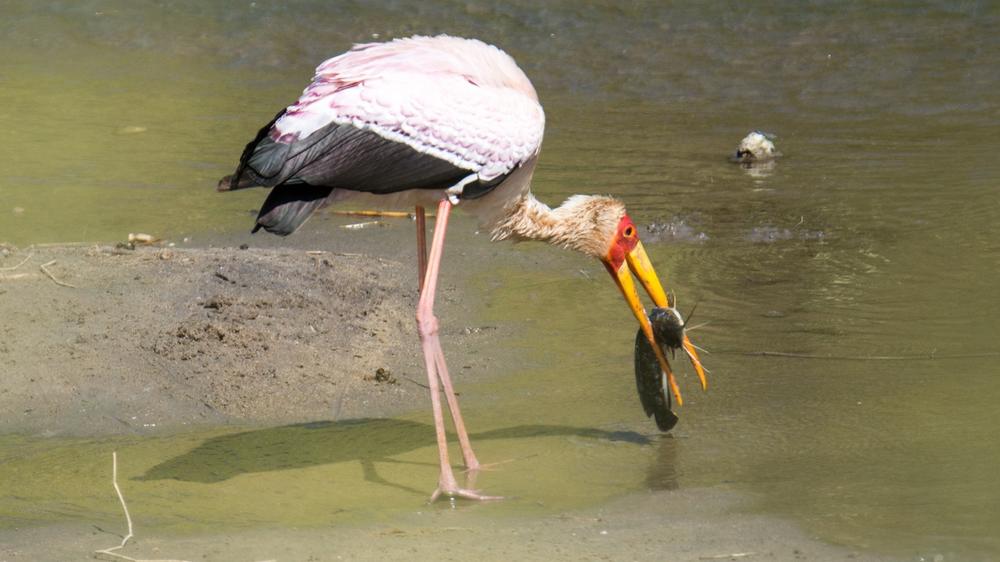 Serengeti National Park
