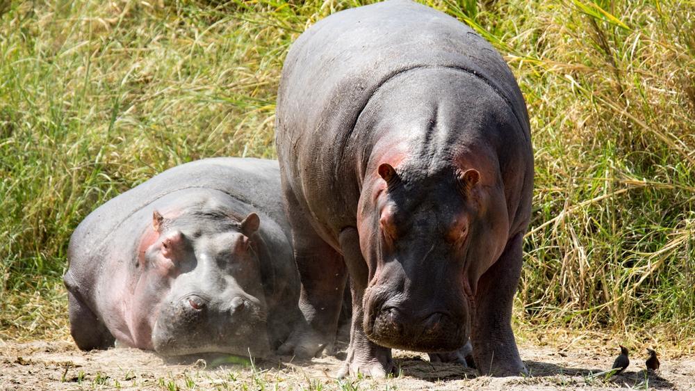 Serengeti National Park