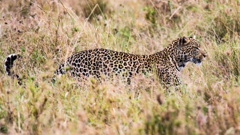 Serengeti National Park