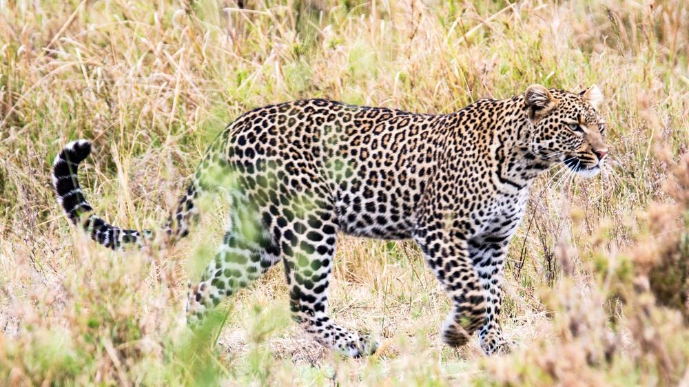 Serengeti National Park