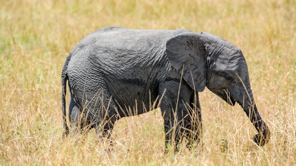 Serengeti National Park