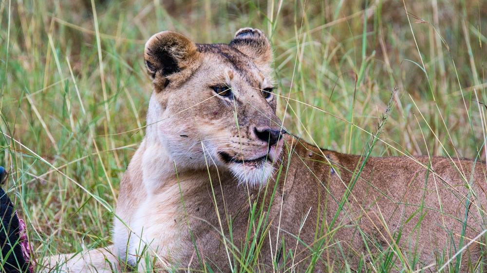Serengeti National Park