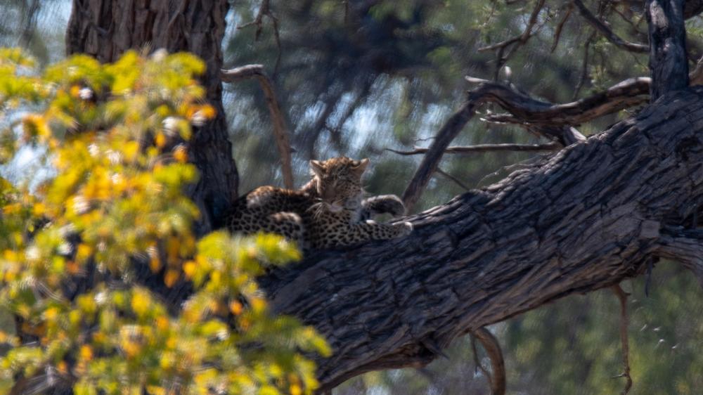 Hwange National Park