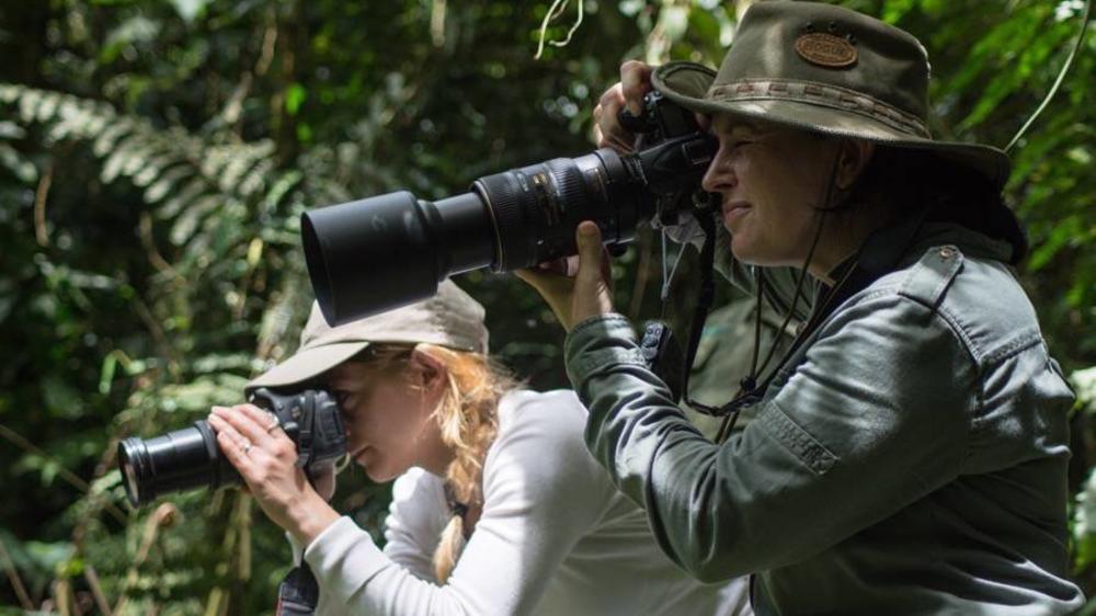 Bwindi Impenetrable Forest National Park