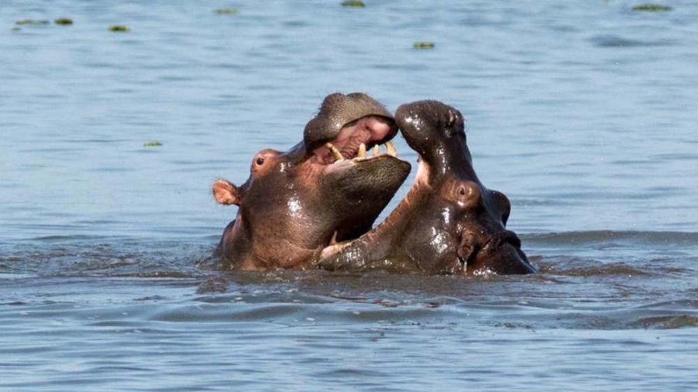 Murchison Falls National Park