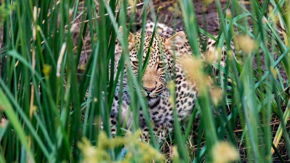 Hluhluwe–Imfolozi Park