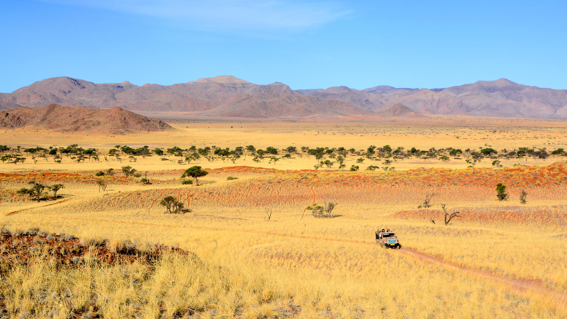Barkhan Dune Retreat