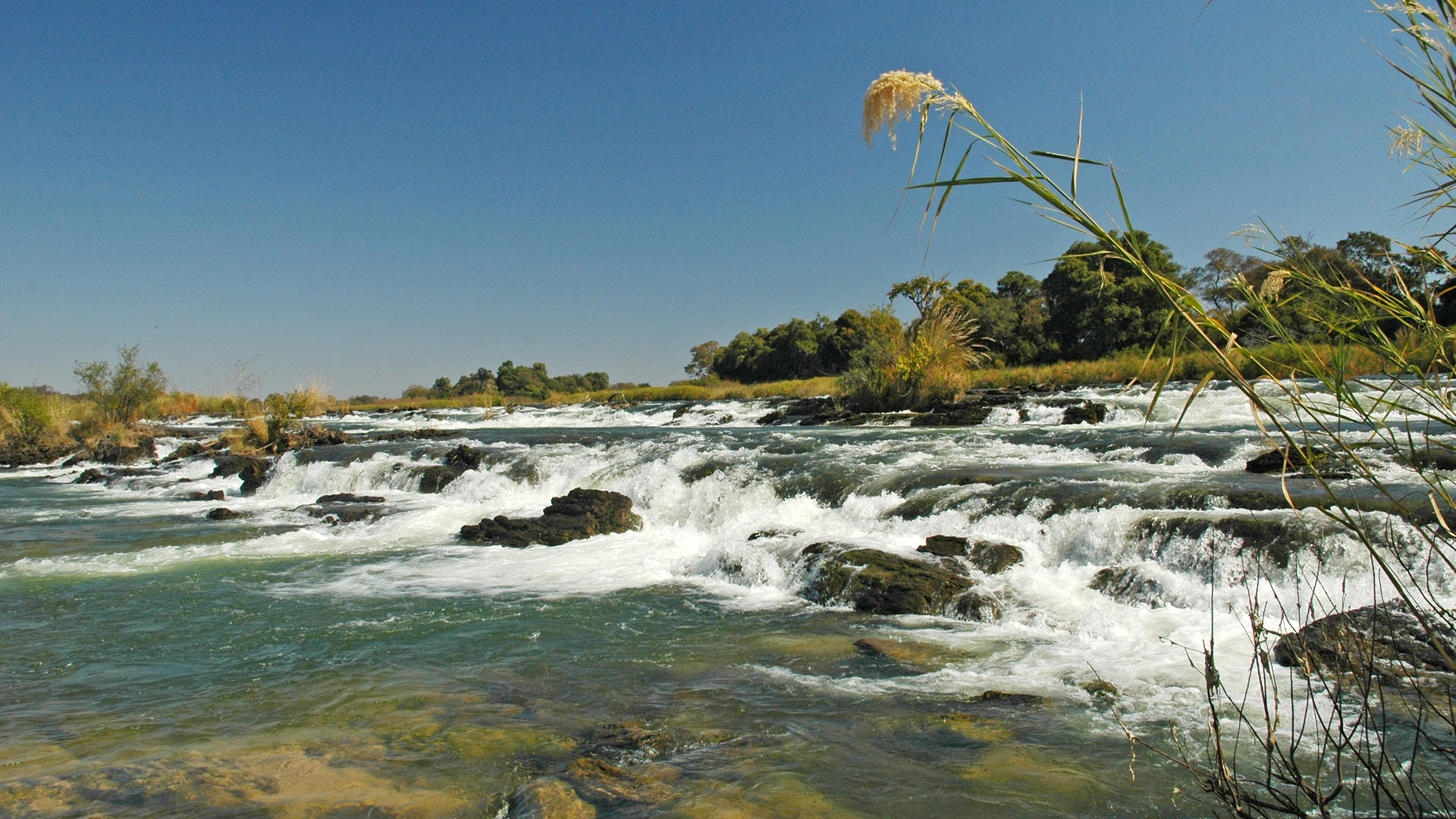 Divava Okavango Resort & Spa