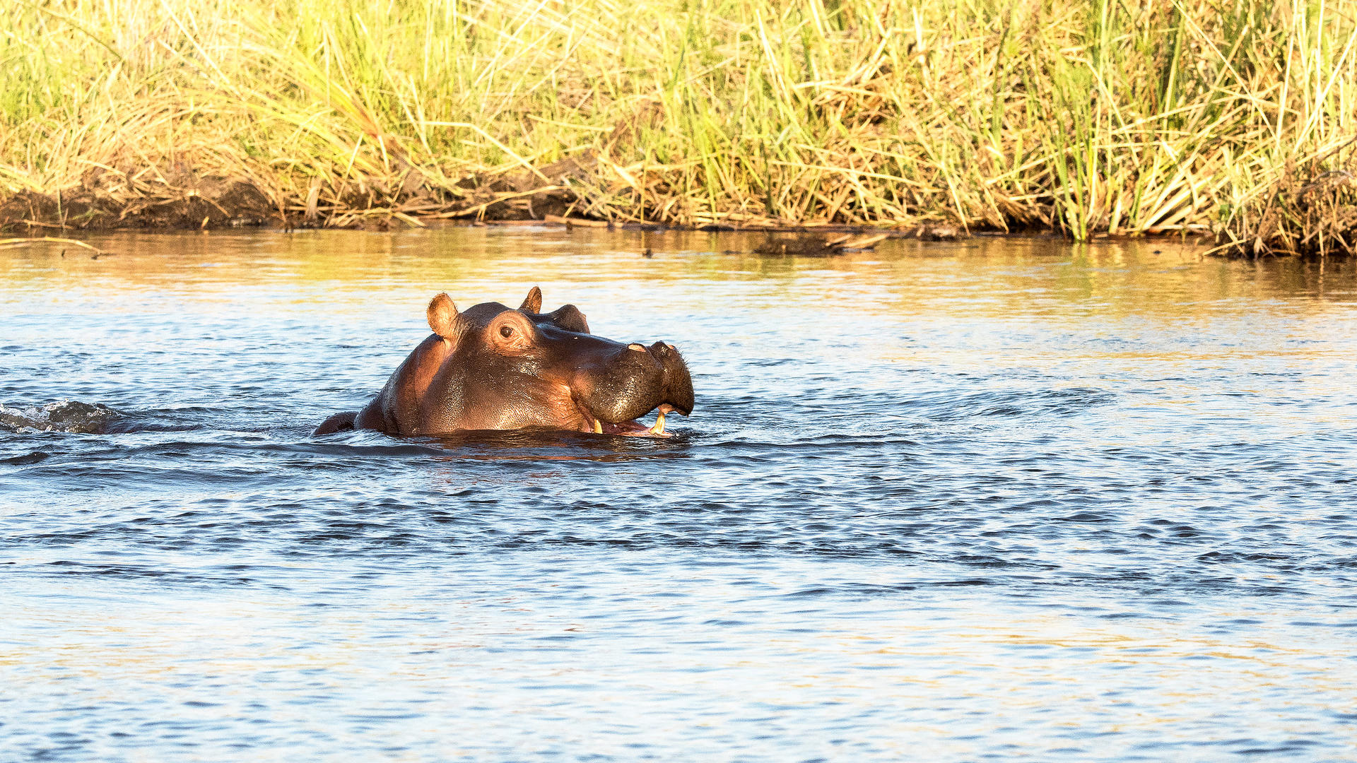 Hakusembe River Lodge Gondwana Collection Namibia