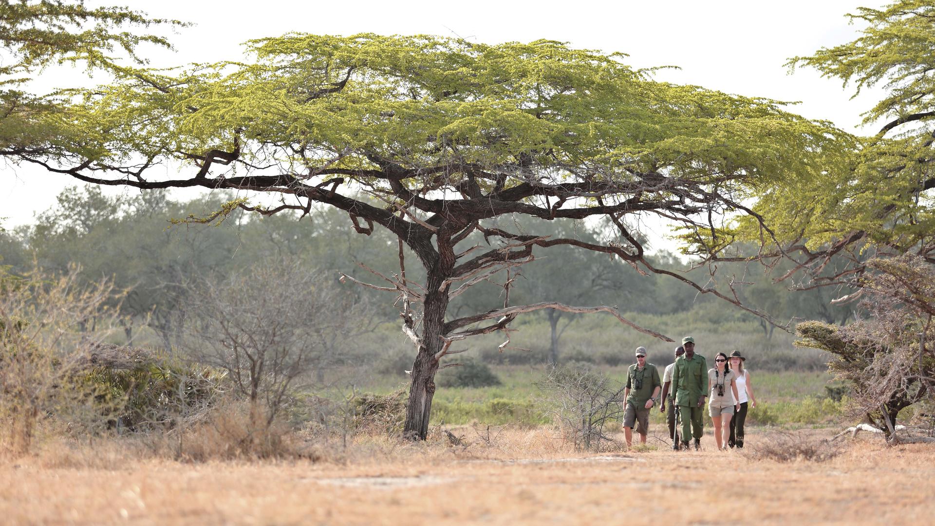 Roho Ya Selous