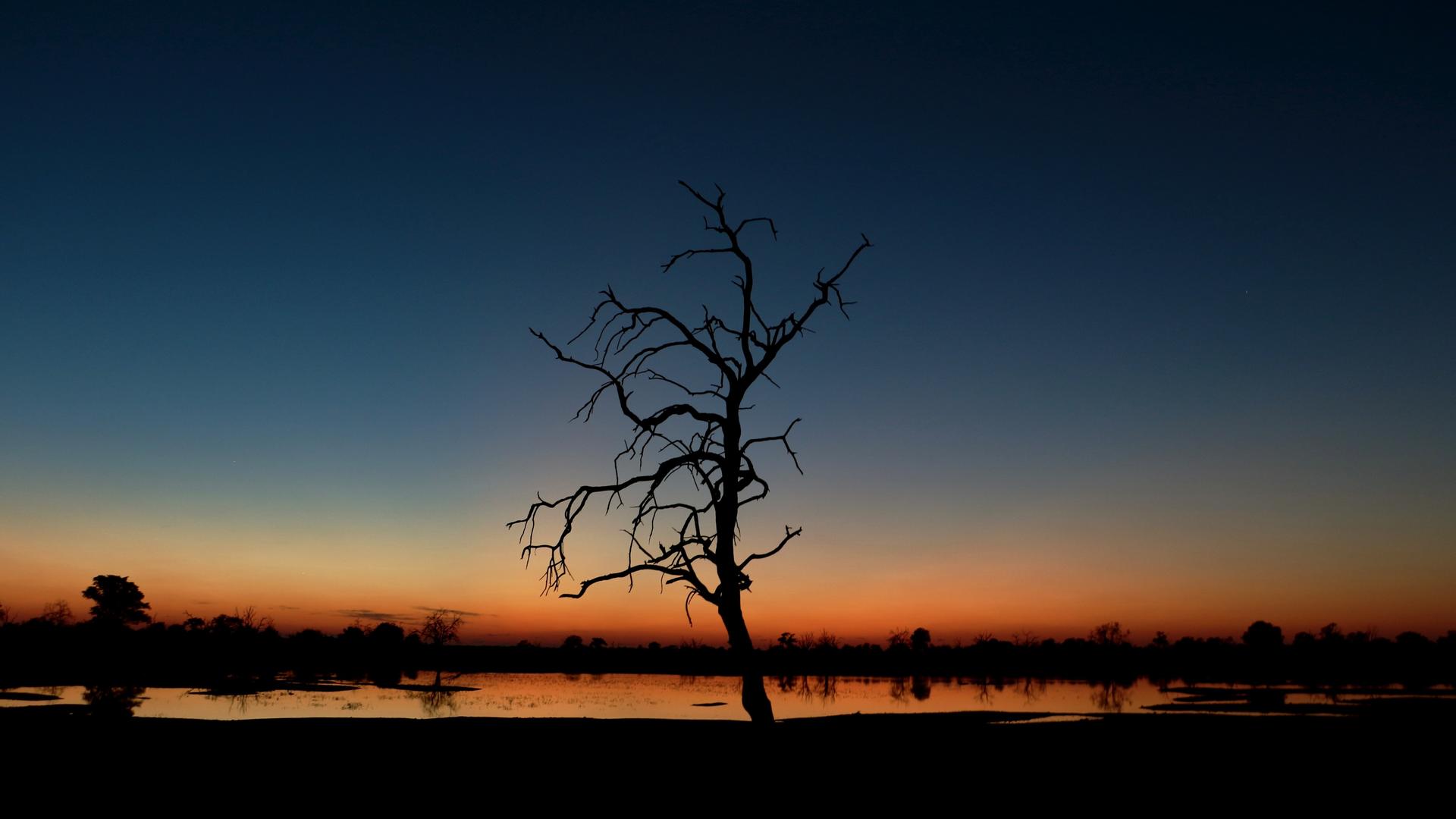 Nogatsaa Pans Chobe Lodge