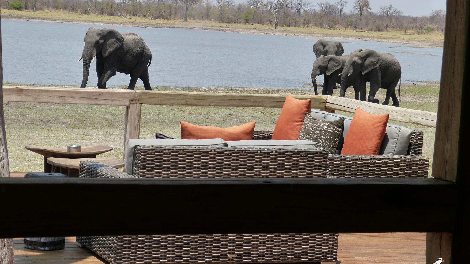 Nogatsaa Pans Chobe Lodge