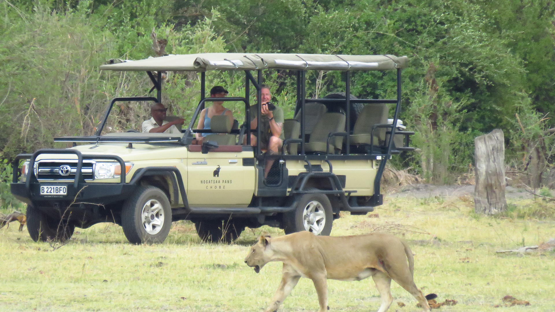 Nogatsaa Pans Chobe Lodge