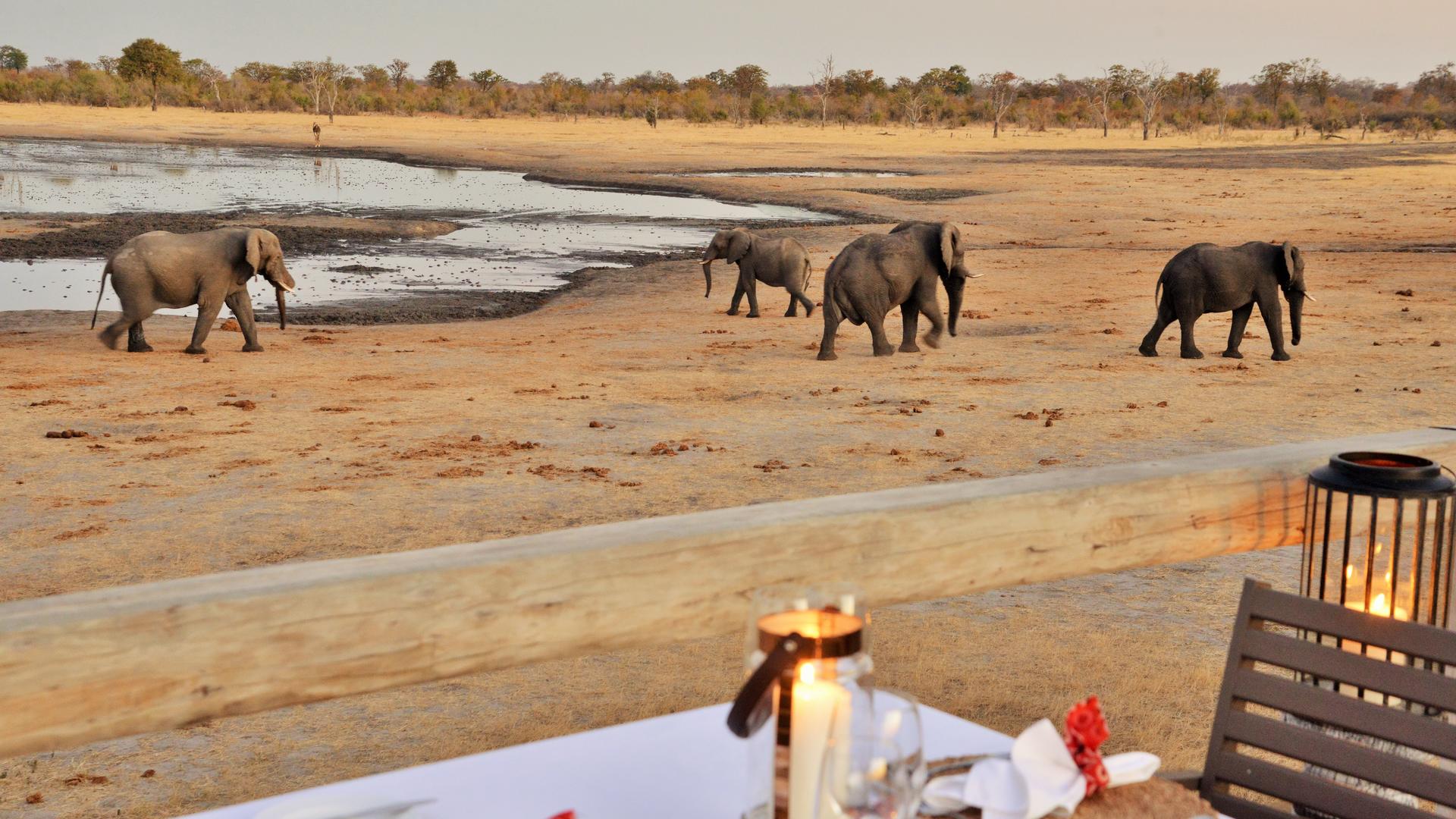 Nogatsaa Pans Chobe Lodge