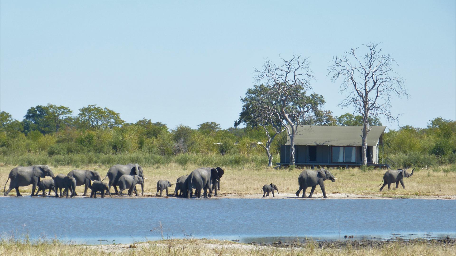 Nogatsaa Pans Chobe Lodge