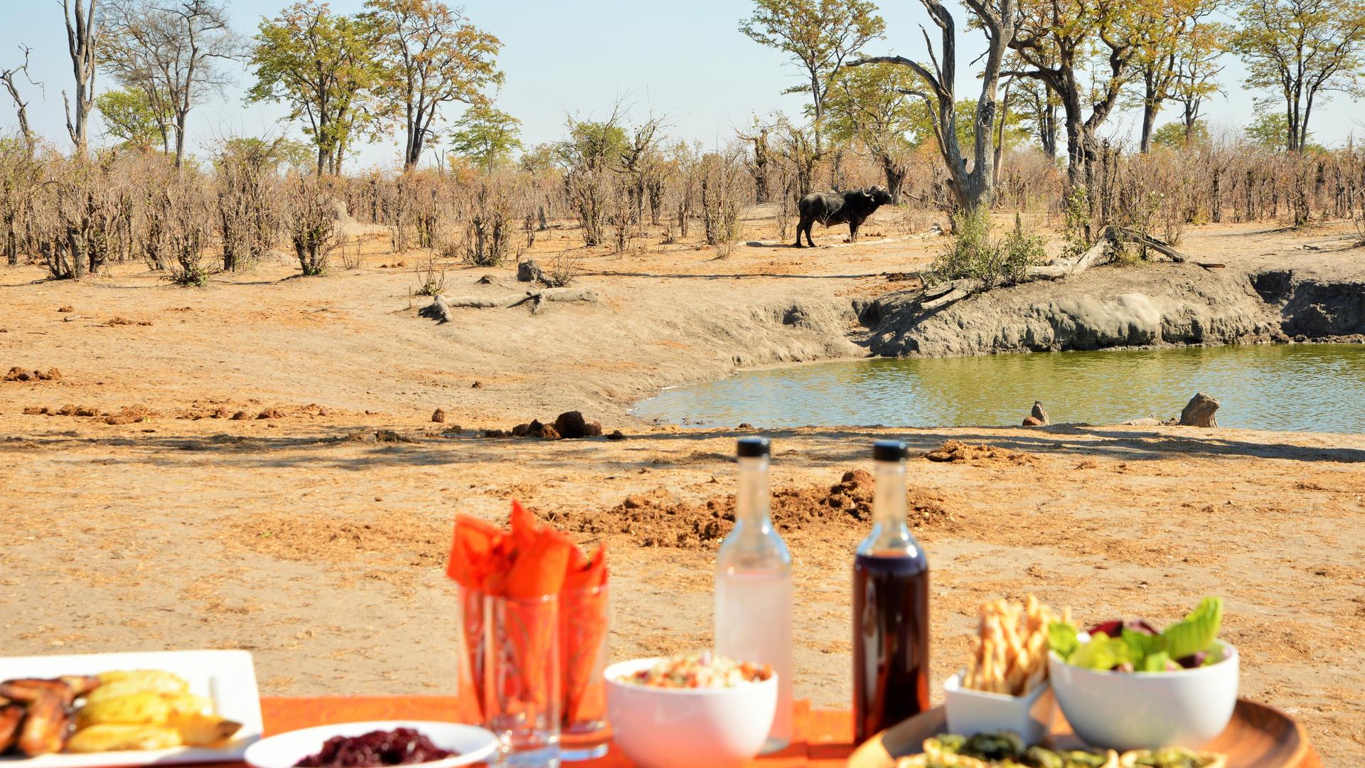 Nogatsaa Pans Chobe Lodge