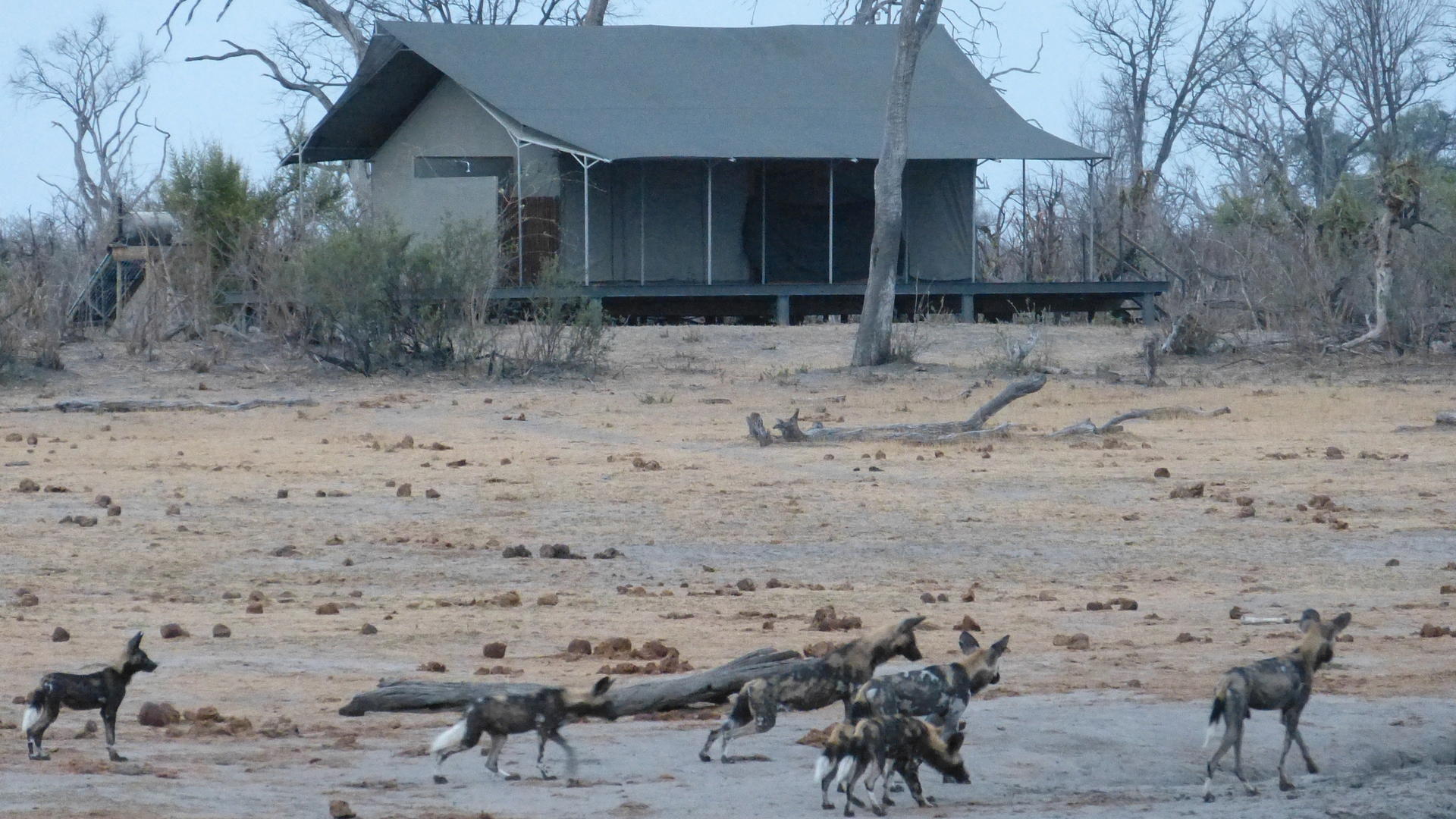 Nogatsaa Pans Chobe Lodge