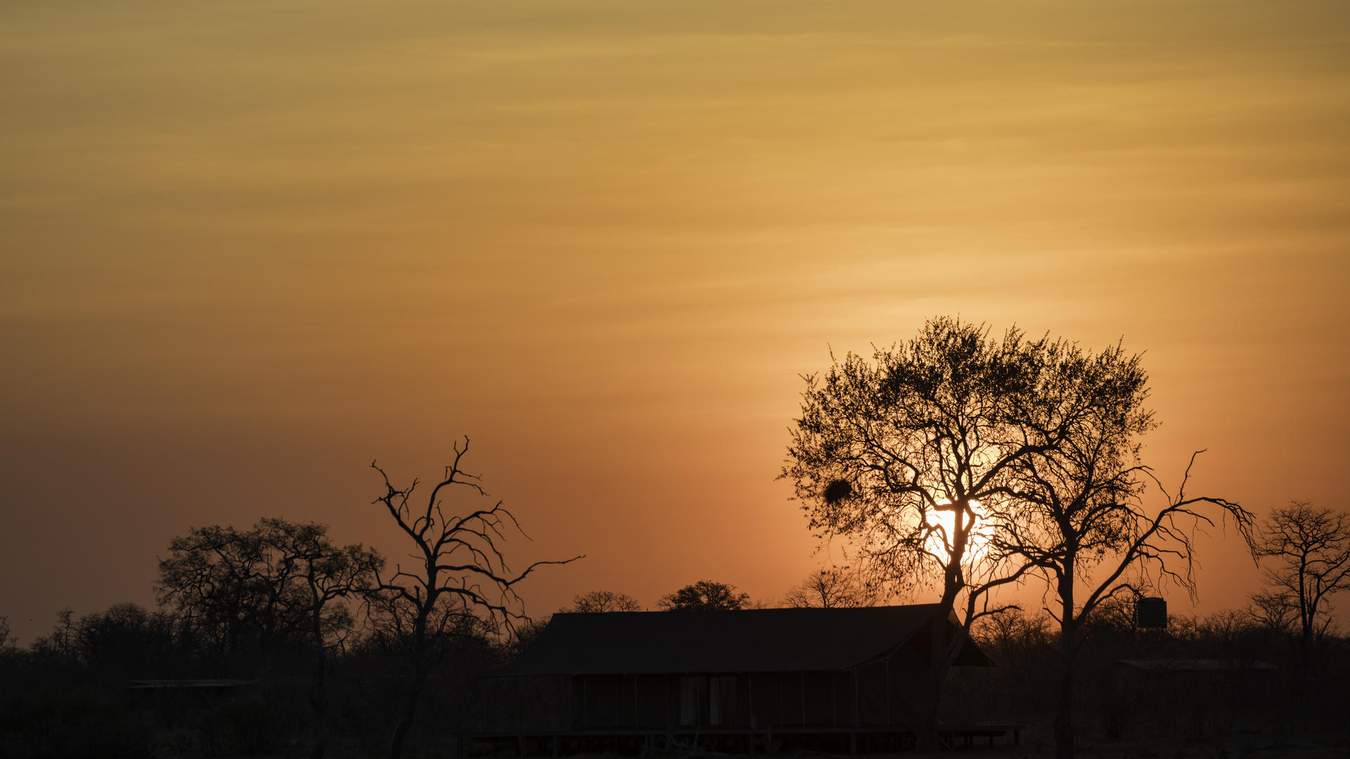 Nogatsaa Pans Chobe Lodge