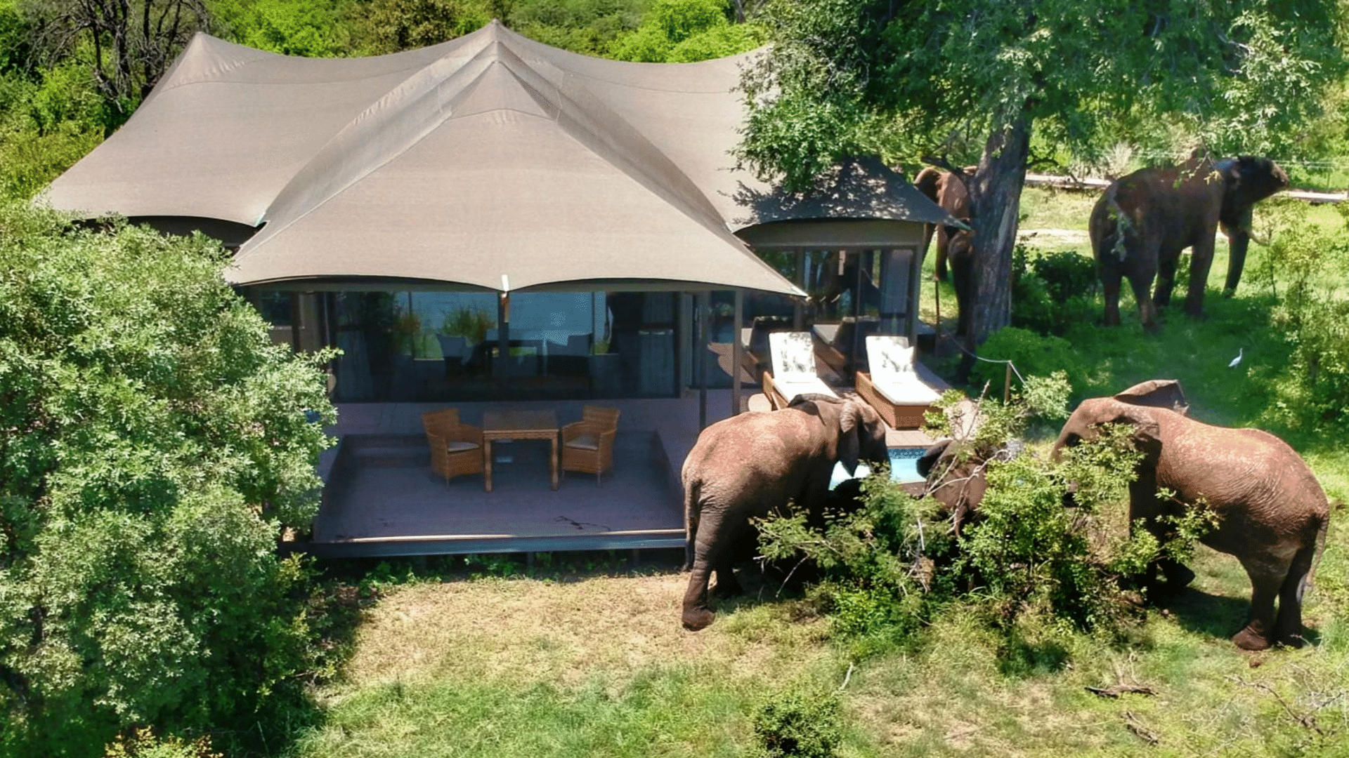 Old Drift Lodge