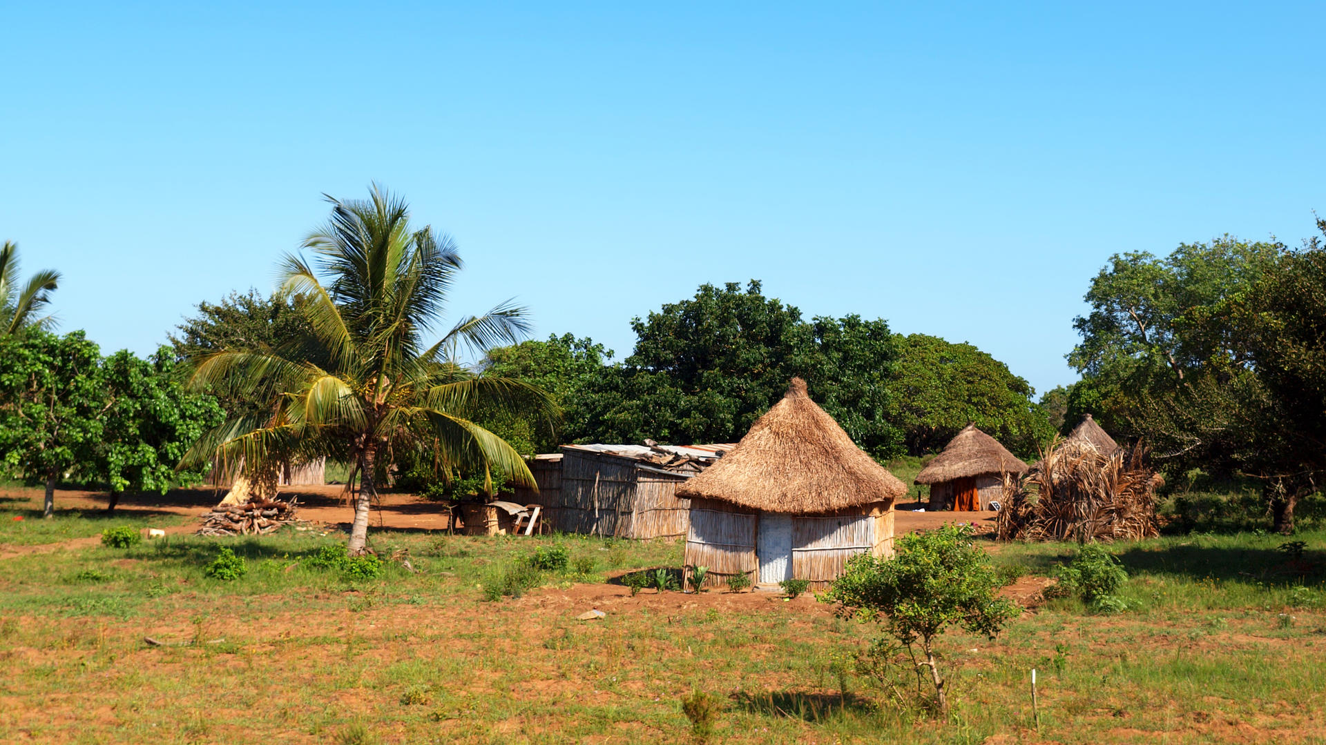 Beach Lodge