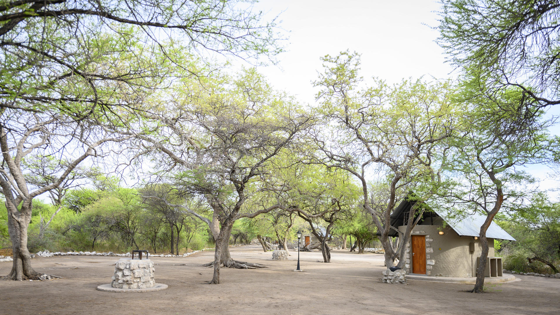 Onguma Leadwood Campsite