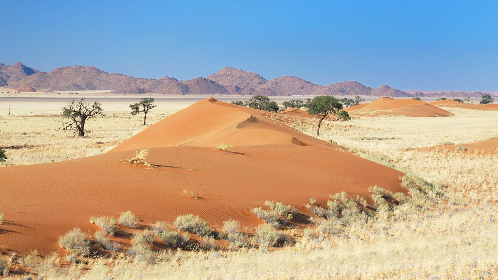 Namtib Desert Lodge view 4