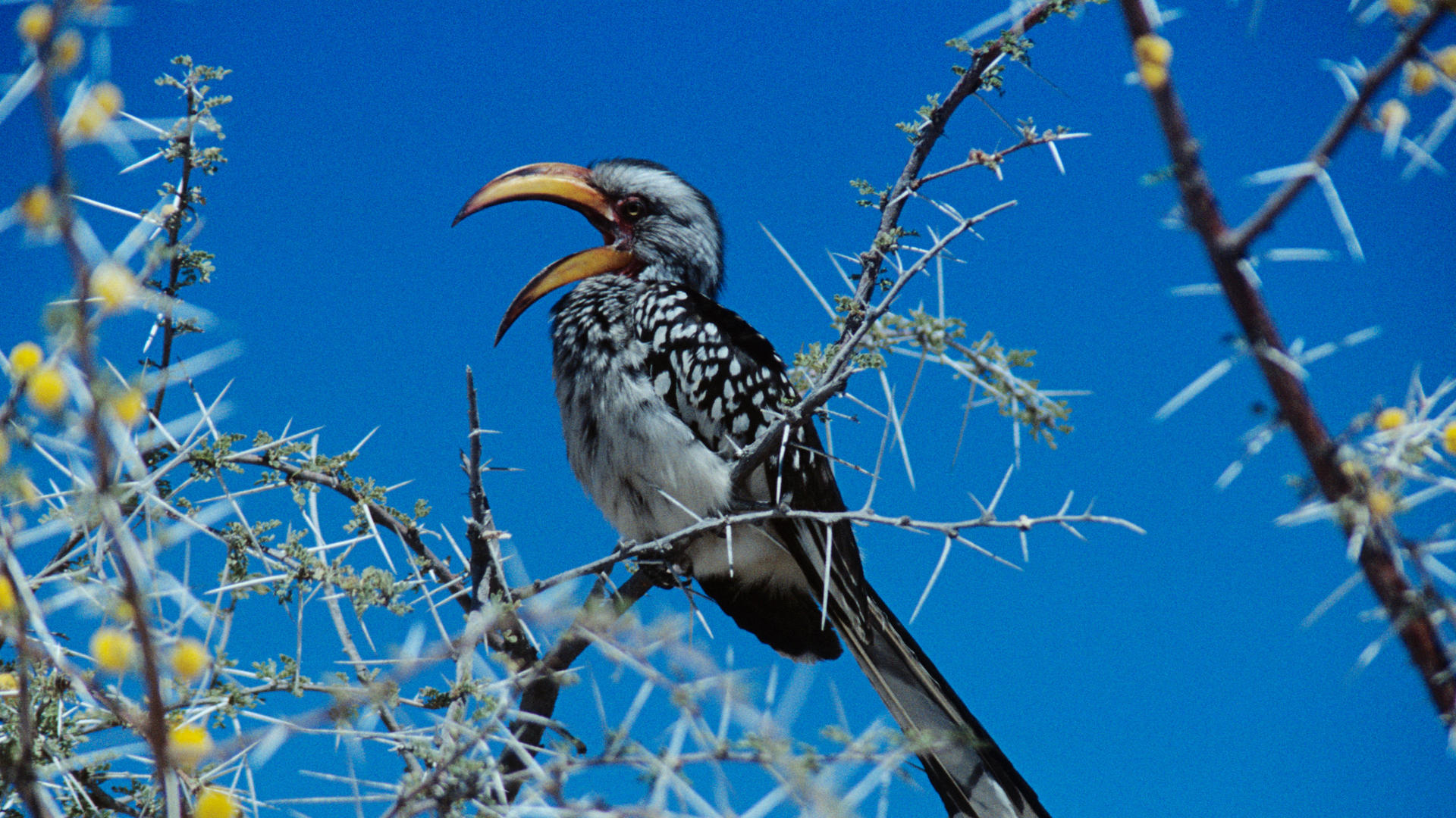 Etosha Safari Lodge Gondwana Collection Namibia