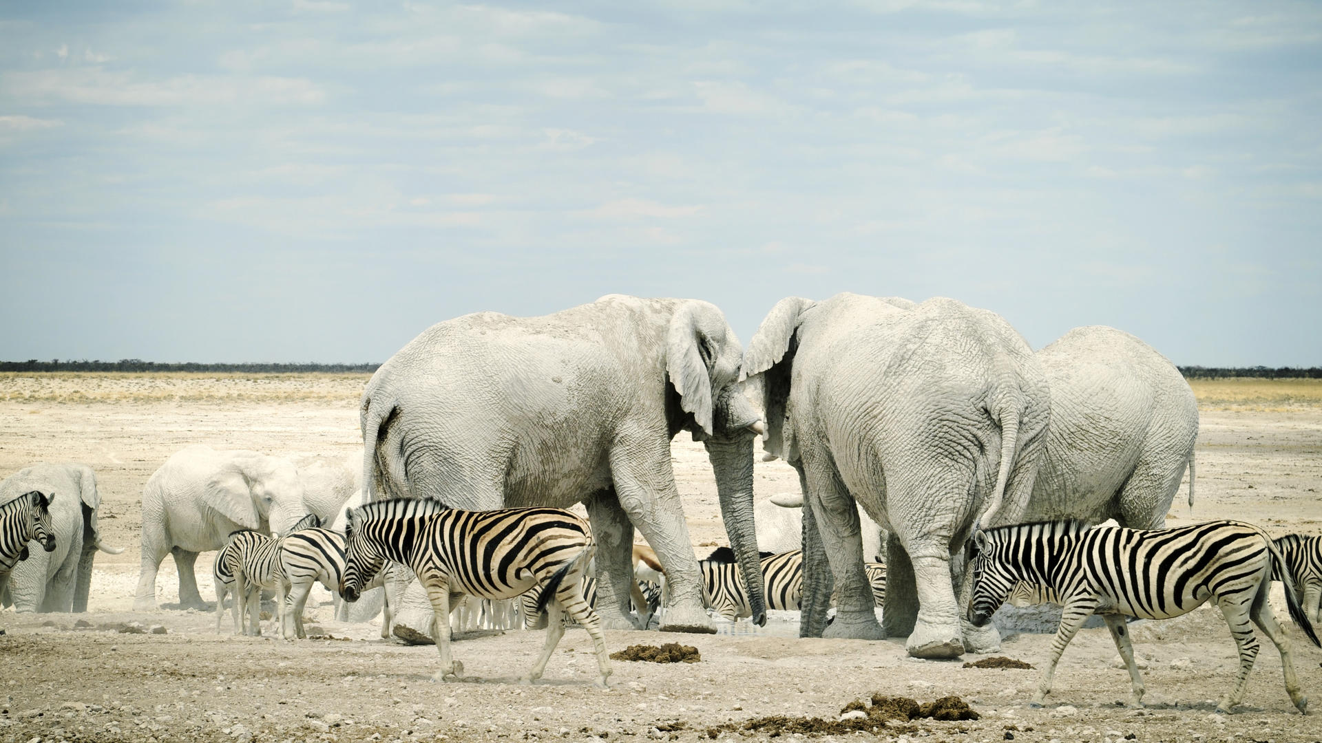 Etosha Safari Lodge Gondwana Collection Namibia