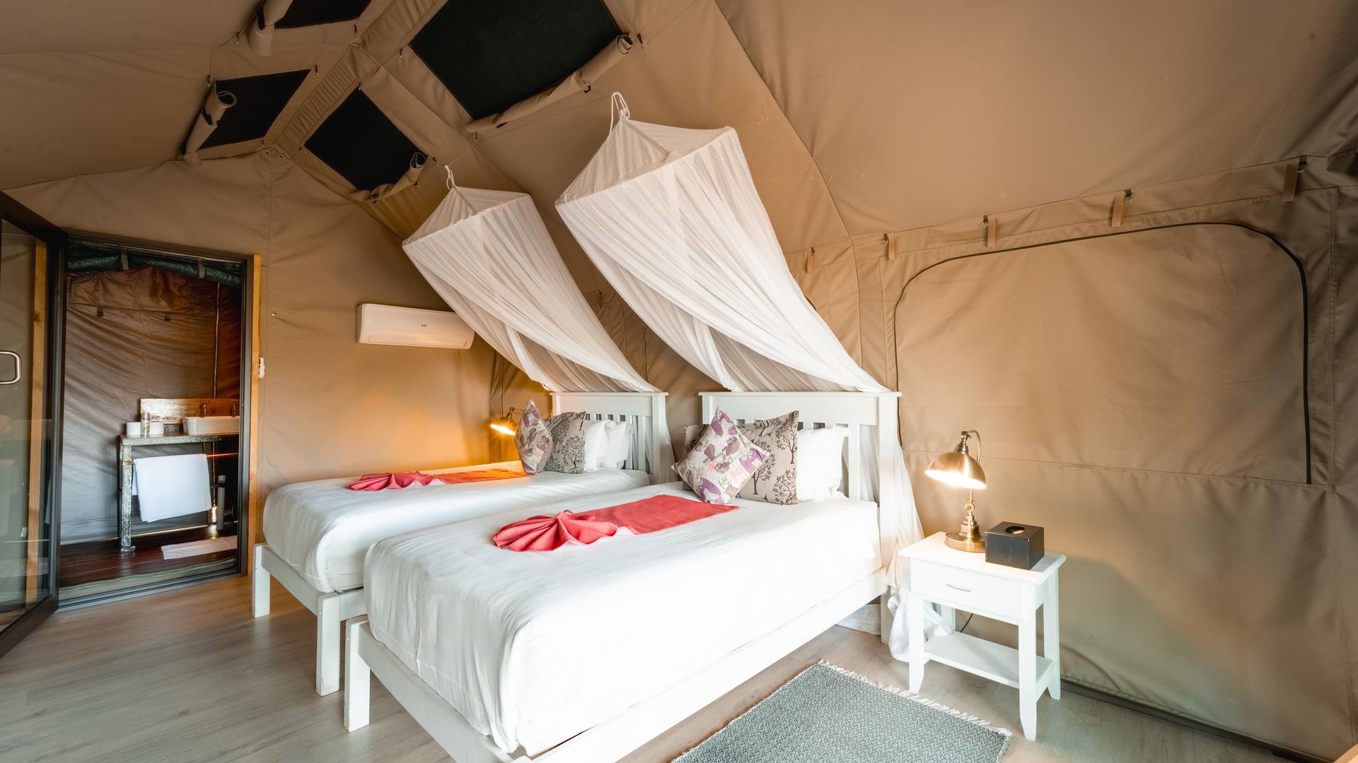 Tlouwana Camp — Twin Classic Tent