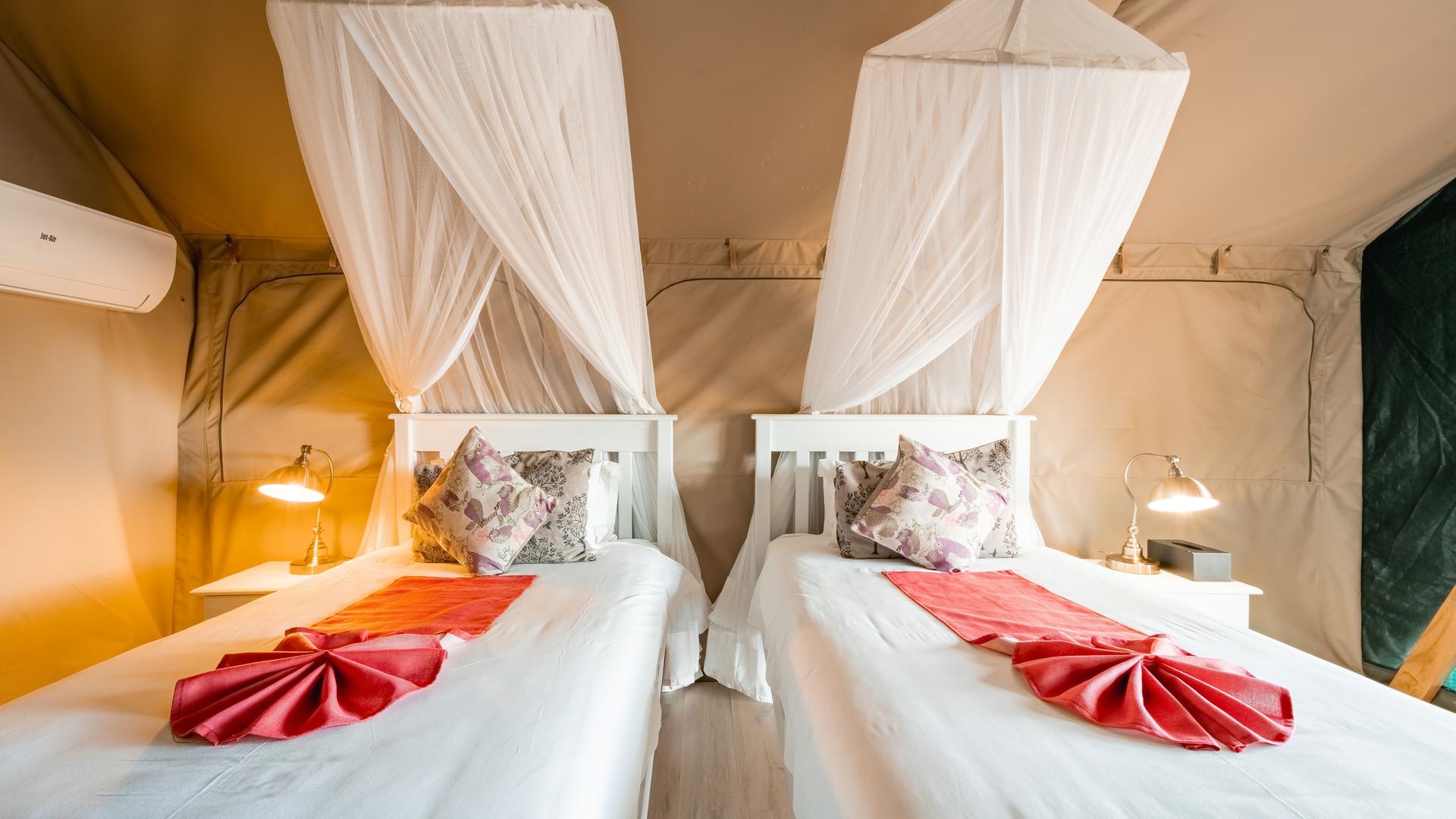 Tlouwana Camp — Twin Classic Tent