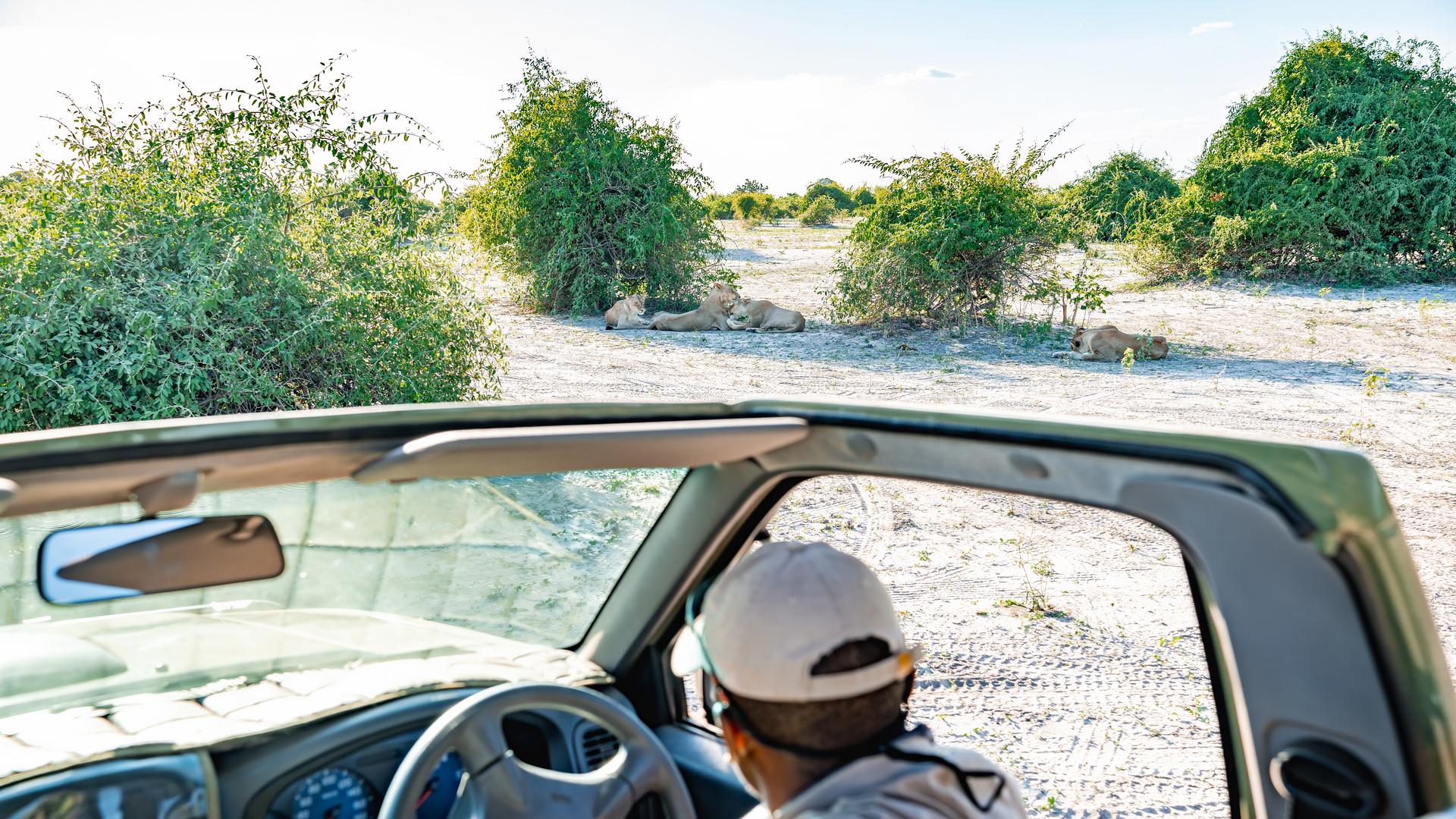 Tlouwana Camp