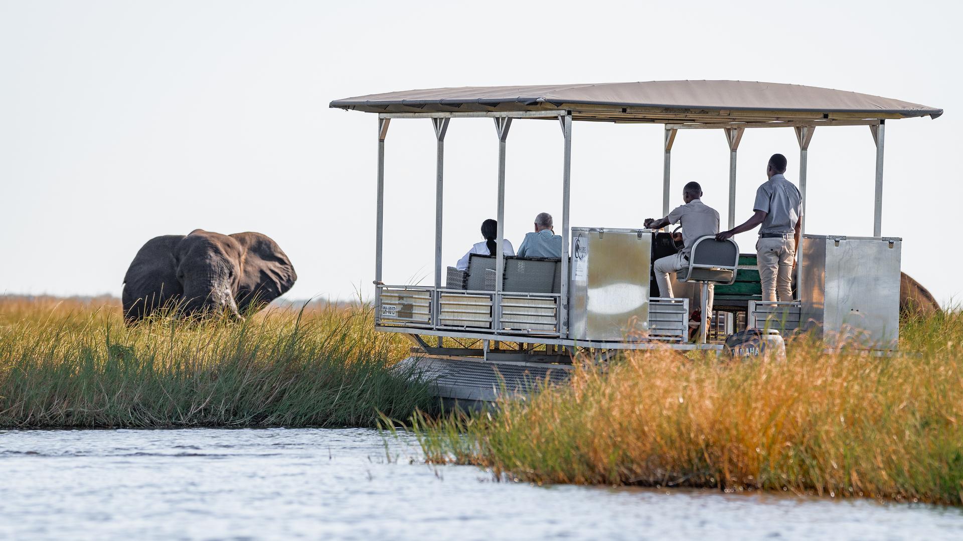 Tlouwana Camp