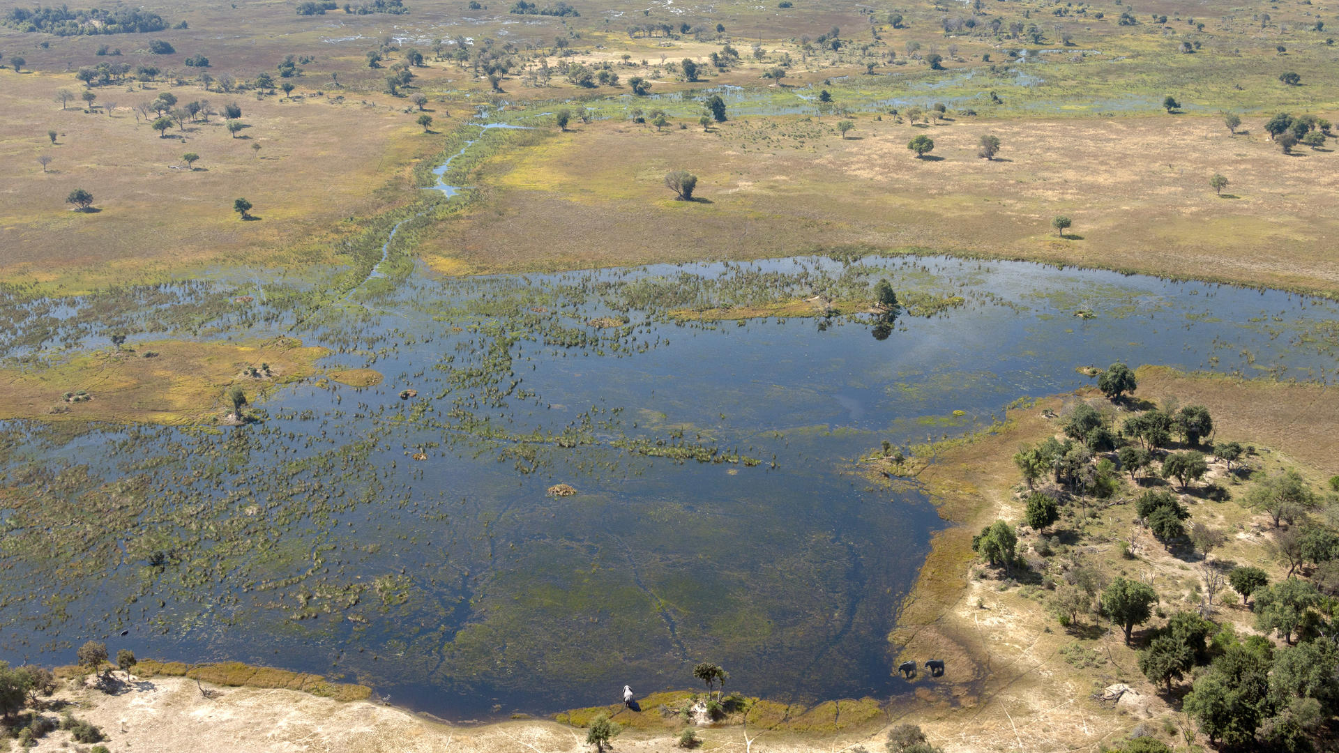 Botswana Delta Explorer Deluxe