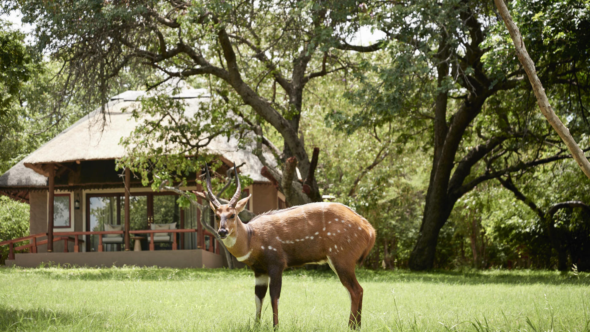 Chobe Chilwero Lodge, an A&K Sanctuary