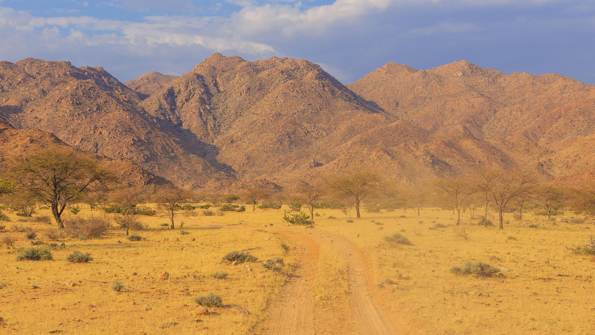Solitaire & Sossusvlei