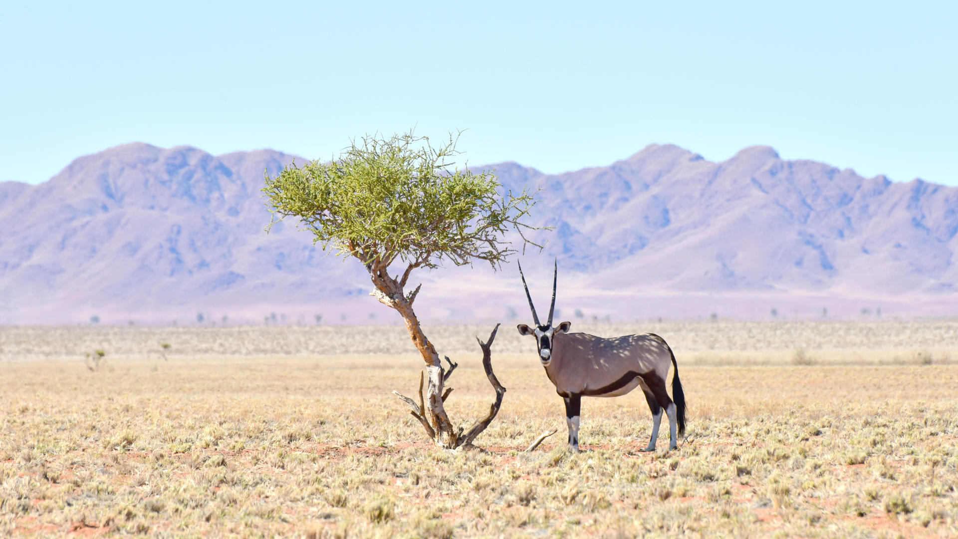 NamibRand Reserve