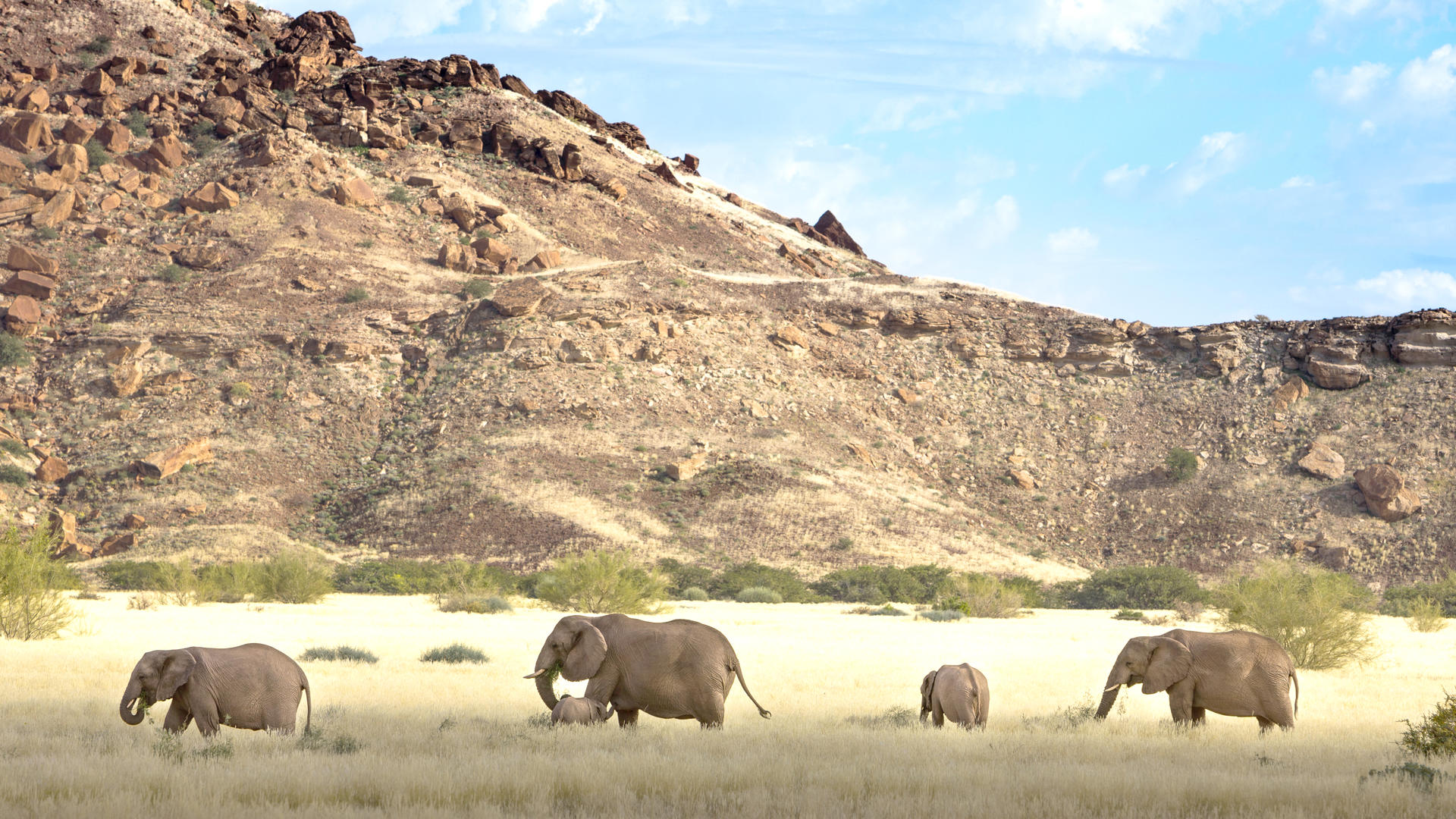 Khorixas Lodge