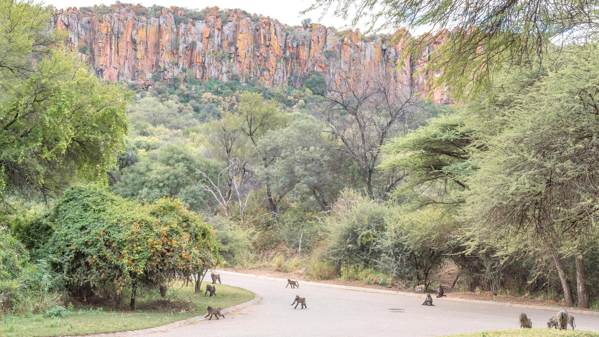 Waterberg Plateau Lodge — view 6