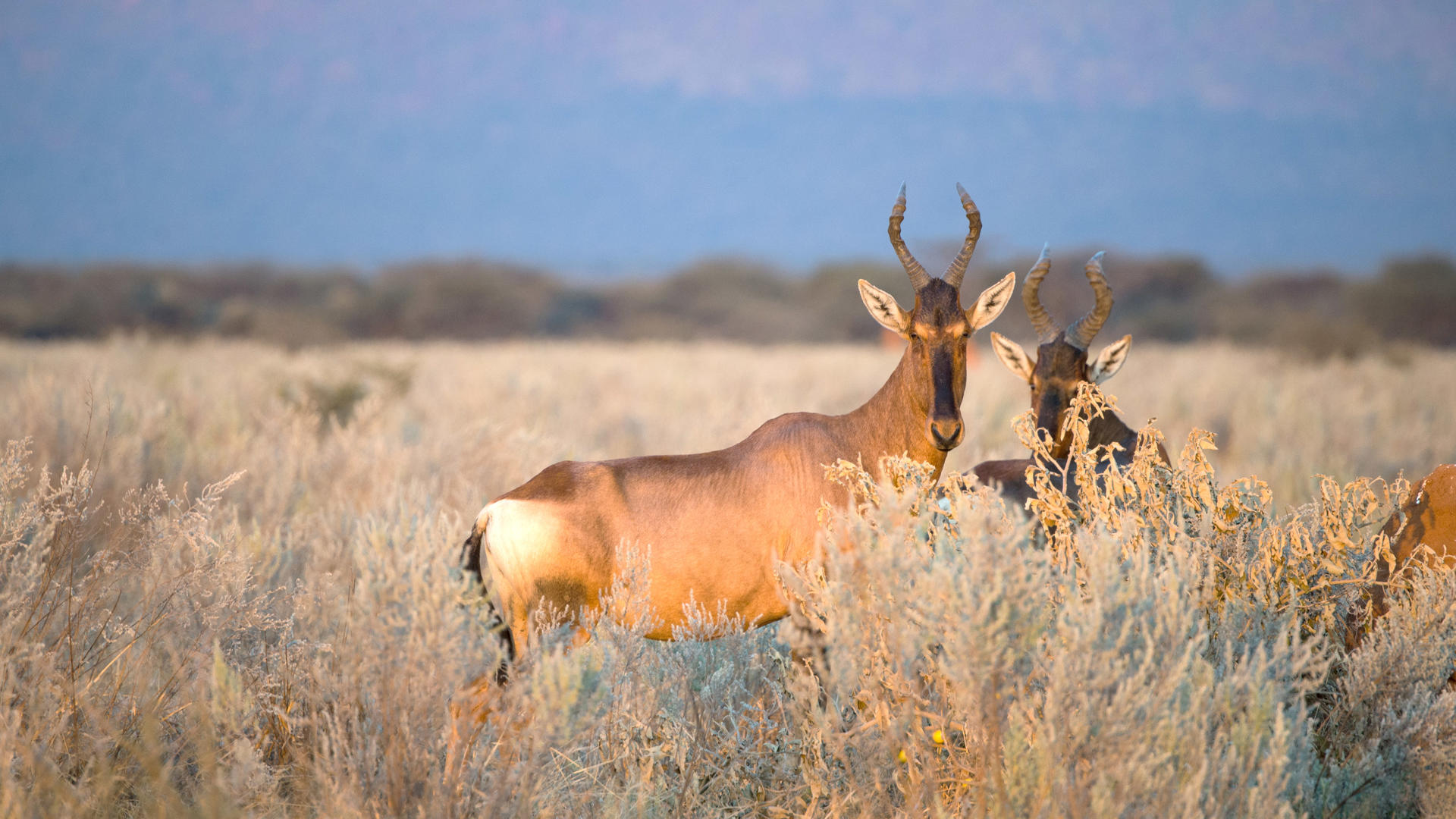 Waterberg Plateau Lodge — view 7