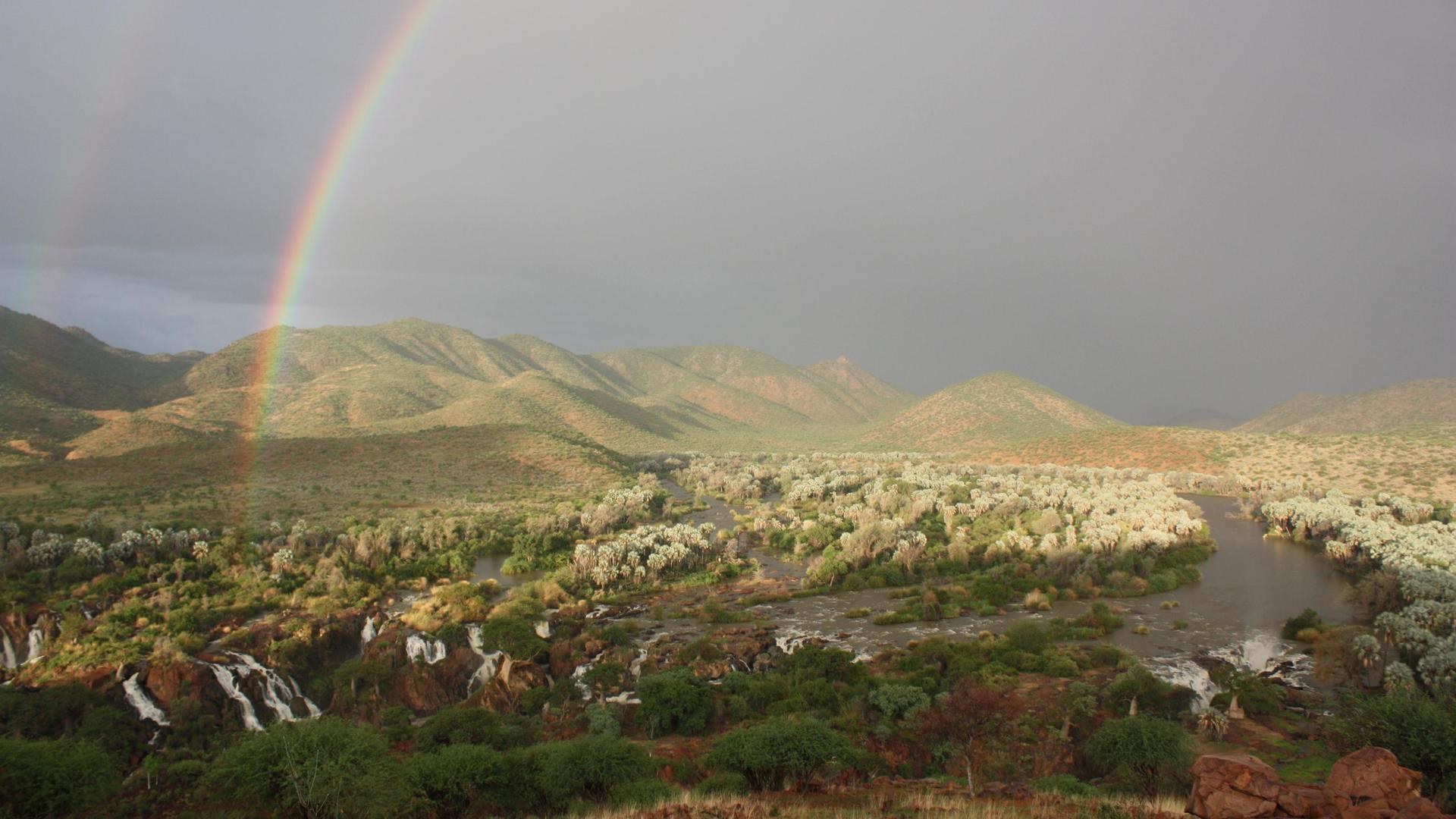 Omarunga Epupa-Falls Camp — under waving Makalani palms beside the Epupa Falls