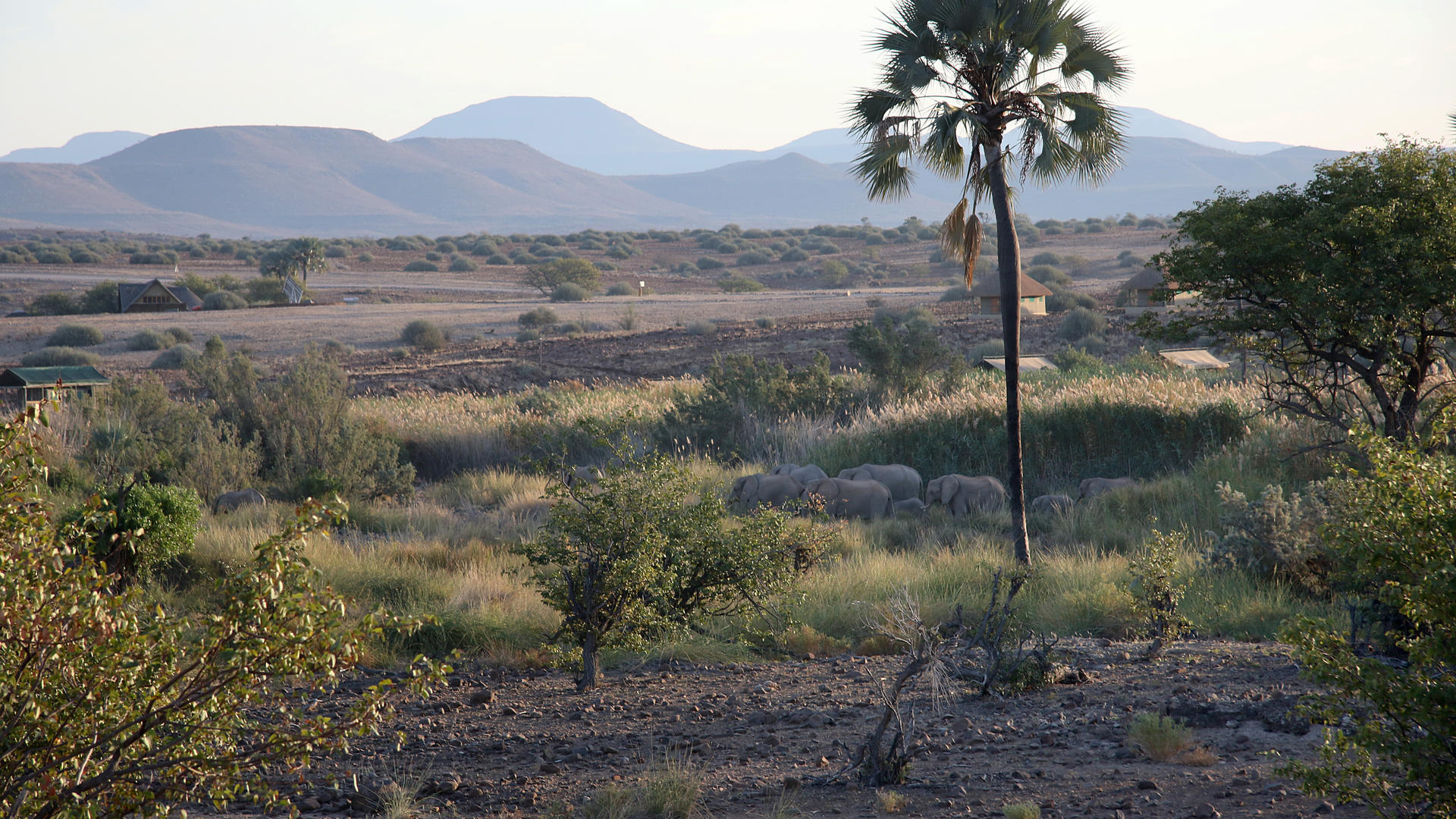Palmwag Lodge