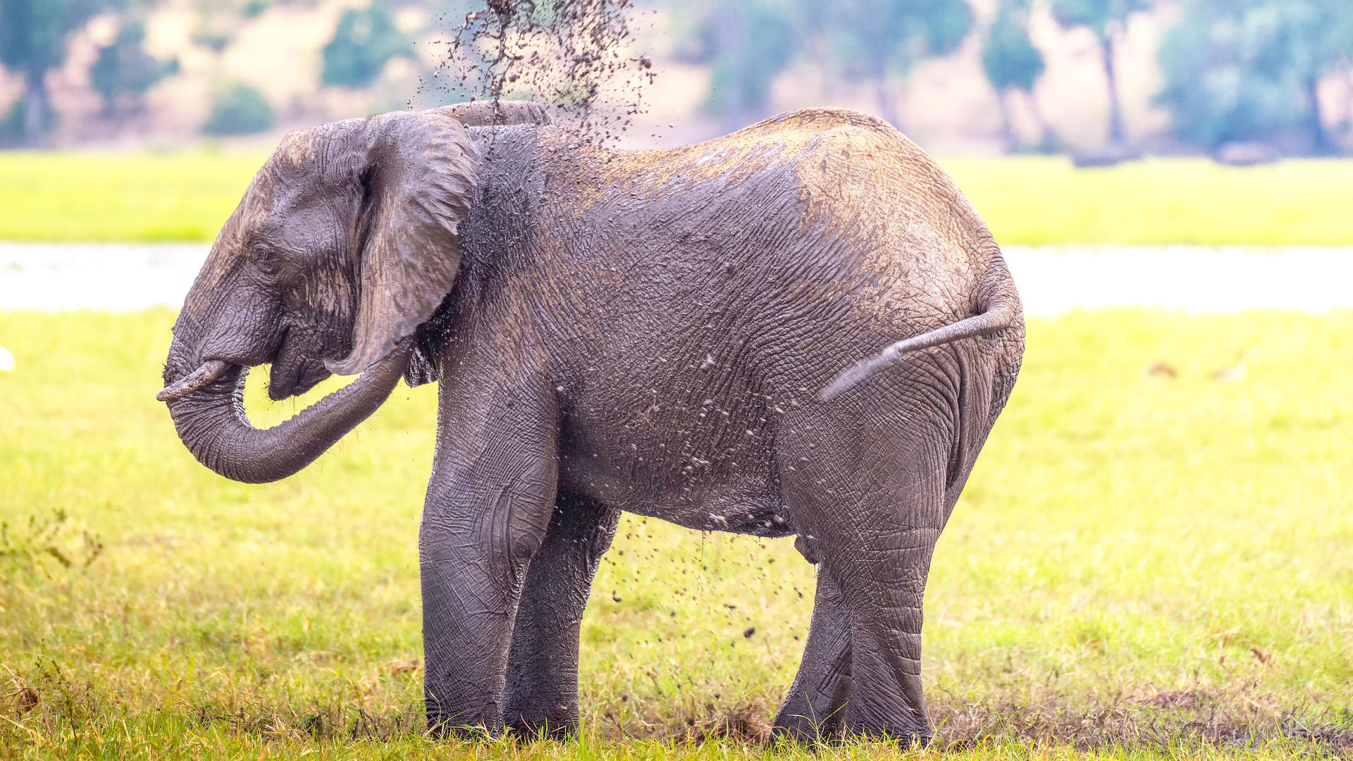 Nogatsaa - Chobe National Park