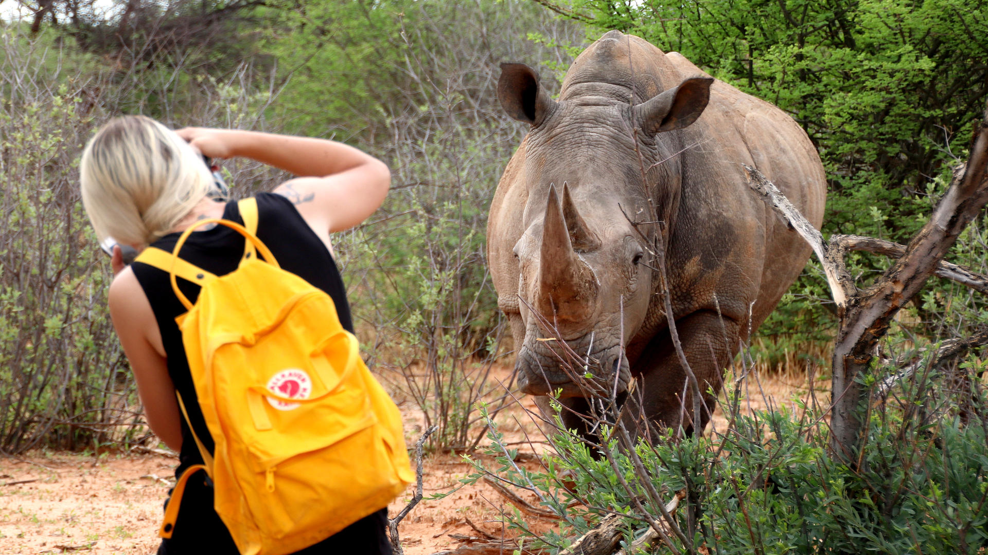 Waterberg Plateau Lodge